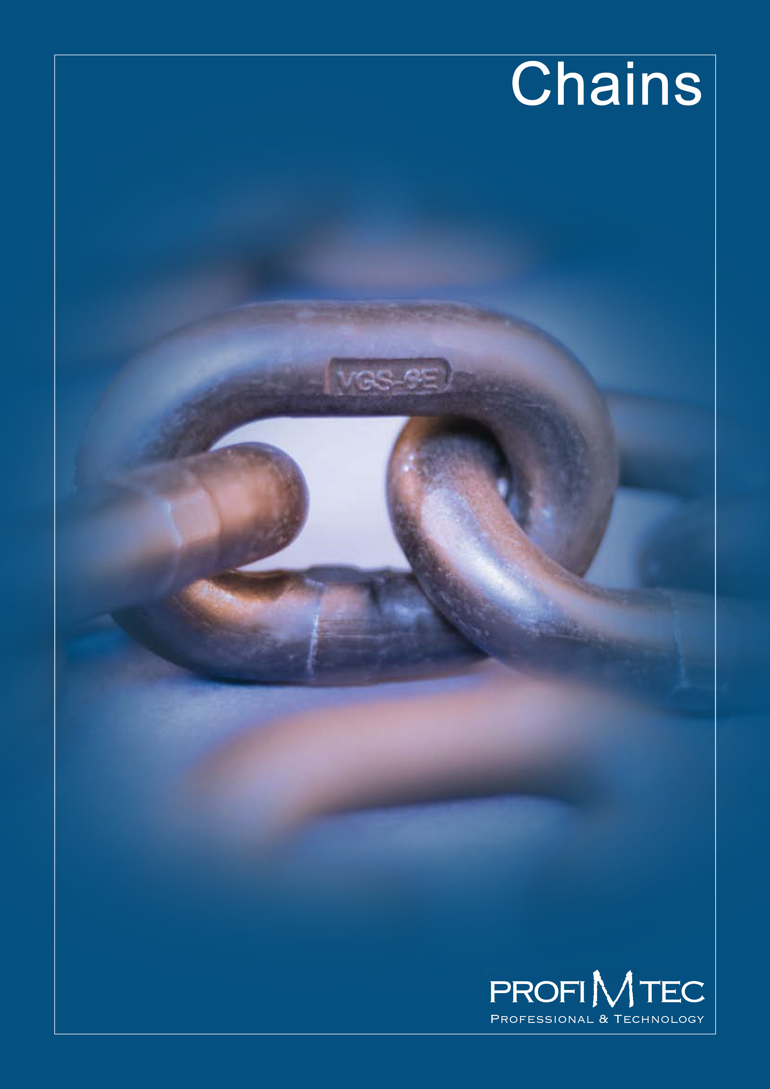 Industrial chains catalog