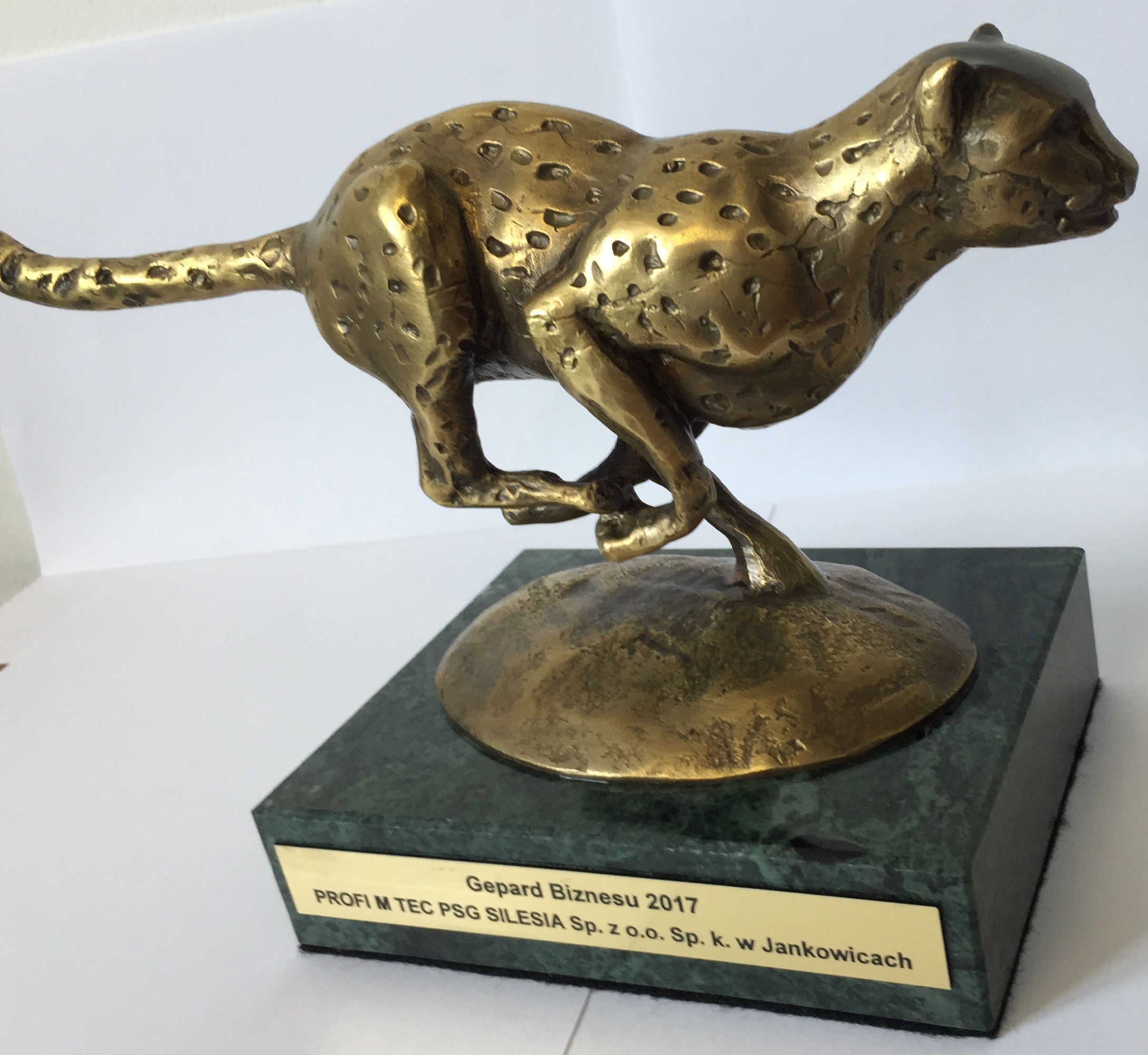 Efficient Company 2017 Logo